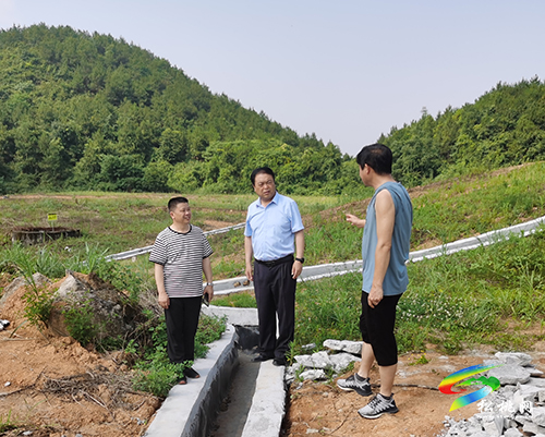 唐永明率隊到太豐錳渣庫調(diào)研錳污染治理工作