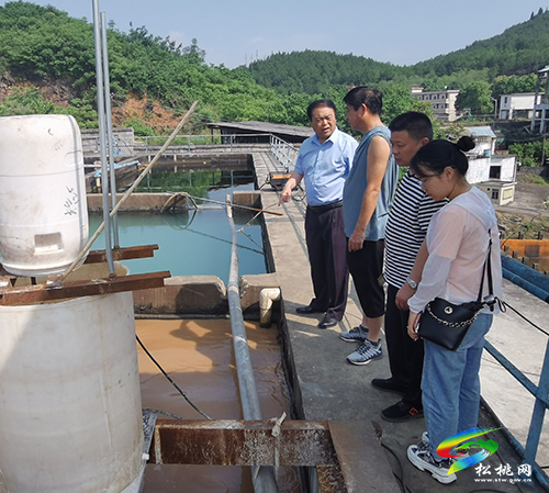 唐永明率隊到太豐錳渣庫調(diào)研錳污染治理工作