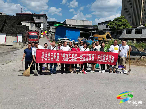 【我為群眾辦實(shí)事】】蓼皋街道開展“黨旗在基層一線高高飄揚(yáng)”環(huán)境衛(wèi)生整治志愿服務(wù)活動(dòng)