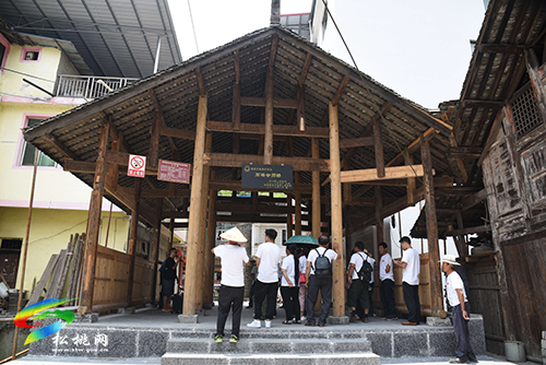 【奮斗百年路　啟航新征程】長坪鄉(xiāng)盤報村黨支部開展“學(xué)黨史 悟思想 辦實事 開新局”主題教育活動