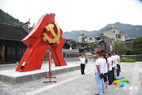 【奮斗百年路　啟航新征程】長坪鄉(xiāng)盤報村黨支部開展“學(xué)黨史 悟思想 辦實事 開新局”主題教育活動