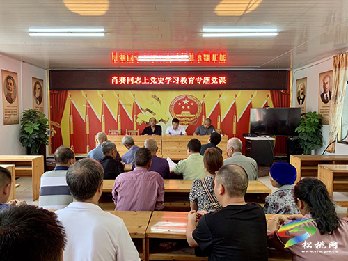 【奮斗百年路　啟航新征程】冷水溪鎮(zhèn)羅袍社區(qū)舉行黨史學(xué)習(xí)教育專題學(xué)習(xí)