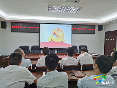 松桃苗族自治縣社會(huì)各界收聽收看中國共產(chǎn)黨成立100周年大會(huì)