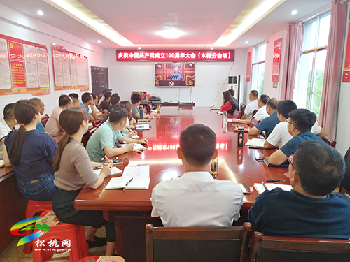 松桃苗族自治縣社會(huì)各界收聽收看中國共產(chǎn)黨成立100周年大會(huì)