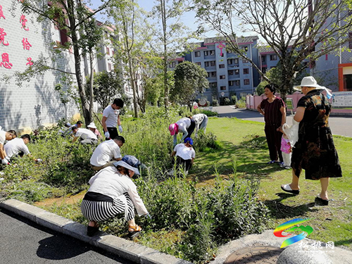 【我為群眾辦實事】團山社區(qū)開展清理花壇雜草活動