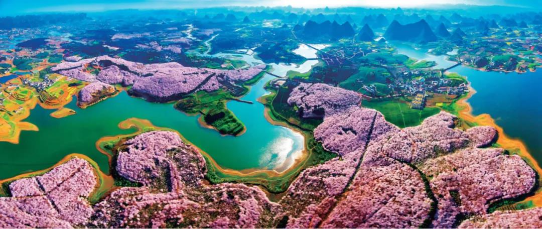 《貴州日?qǐng)?bào)》刊登乾興平文章：共同構(gòu)建人與自然生命共同體