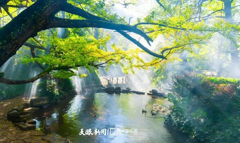 《貴州日?qǐng)?bào)》刊登乾興平文章：共同構(gòu)建人與自然生命共同體