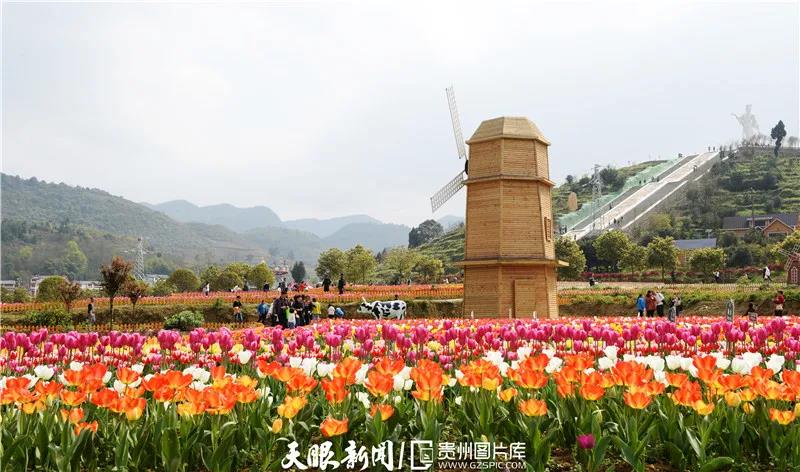 《貴州日?qǐng)?bào)》刊登乾興平文章:共同構(gòu)建人與自然生命共同體