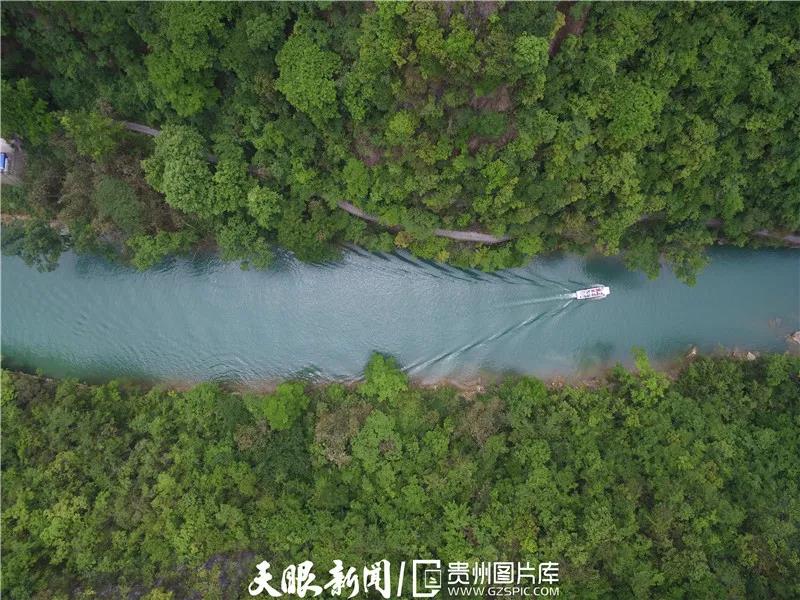 《貴州日?qǐng)?bào)》刊登乾興平文章:共同構(gòu)建人與自然生命共同體