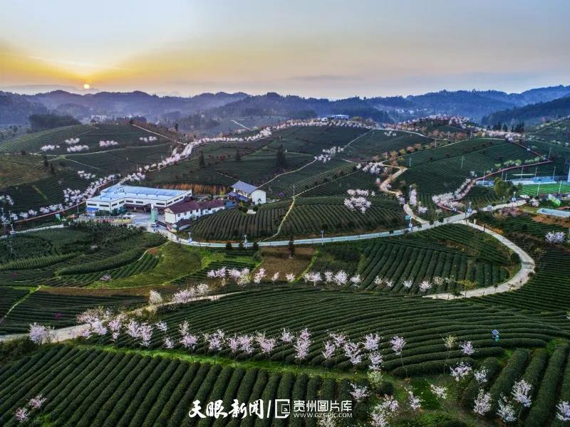 《貴州日?qǐng)?bào)》刊登乾興平文章:共同構(gòu)建人與自然生命共同體