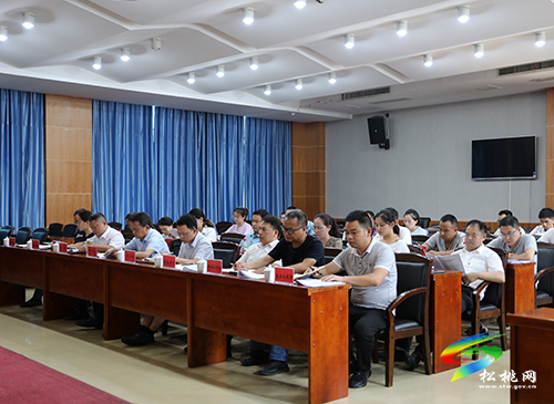 松桃集中收聽收看銅仁市全面推進(jìn)新時(shí)代文明實(shí)踐中心建設(shè)工作電視電話會(huì)議