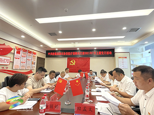 松桃苗族自治縣醫(yī)療保障局支部開展主題黨日活動