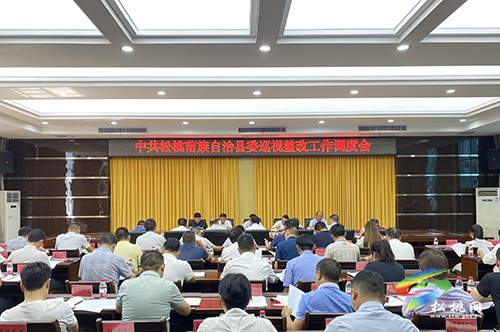中共松桃苗族自治縣委巡視整改工作調(diào)度會(huì)召開(kāi)