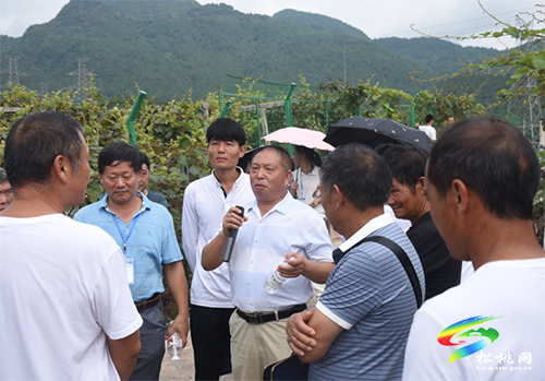 2021年全市農(nóng)村青年精品水果實(shí)用技術(shù)培訓(xùn)班在松桃開(kāi)班