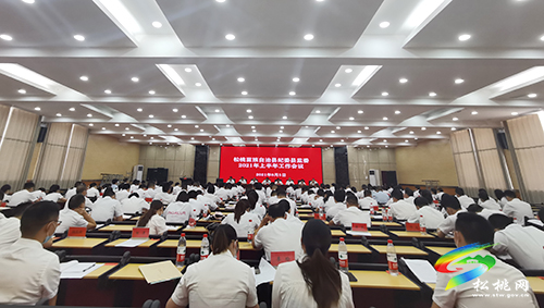 松桃紀(jì)委監(jiān)委召開上半年工作會議