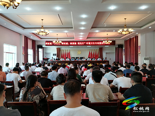 【奮斗百年路 啟航新征程】黃板鎮(zhèn)召開“學(xué)黨史鑄忠誠樹形象我先行”環(huán)境衛(wèi)生專項整治行動啟動會