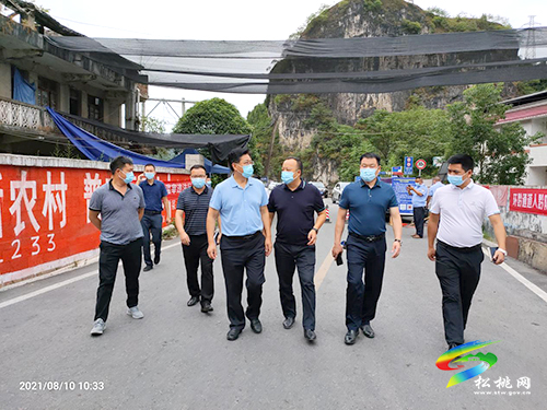 市政協(xié)副主席楊德振到木樹鎮(zhèn)虎渡口督導(dǎo)錳渣庫治理整改工作