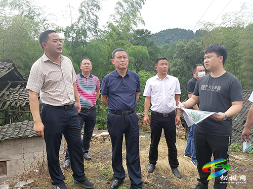 龍群躍到平頭鎮(zhèn)指導(dǎo)土地增減掛鉤高標準農(nóng)田建設(shè)等工作
