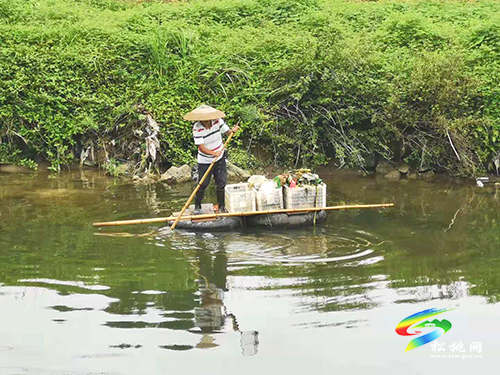 【我為群眾辦實(shí)事】普覺(jué)鎮(zhèn)：黨員干部樹(shù)模范村莊環(huán)境換新顏