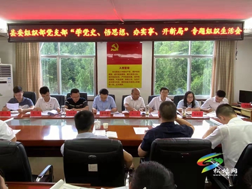 【奮斗百年路 啟航新征程】縣委組織部黨支部召開黨史學習教育專題組織生活會
