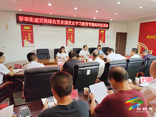 【奮斗百年路 啟航新征程】蓼皋街道黨政綜合黨支部召開(kāi)黨史學(xué)習(xí)教育專(zhuān)題組織生活會(huì)