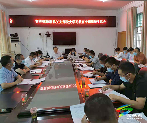 【奮斗百年路 啟航新征程】寨英鎮(zhèn)機(jī)關(guān)黨支部召開黨史學(xué)習(xí)教育專題組織生活會