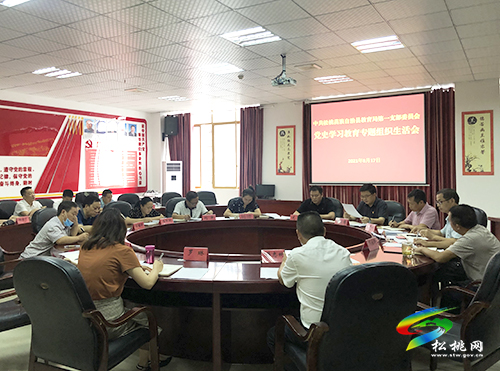 【奮斗百年路 啟航新征程】松桃教育局第一黨支部黨史學(xué)習(xí)教育專(zhuān)題組織生活會(huì)召開(kāi)