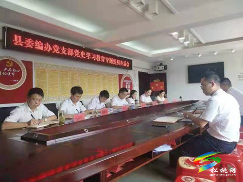 【奮斗百年路 啟航新征程】縣委編辦黨支部召開黨史學(xué)習(xí)教育專題組織生活會(huì)