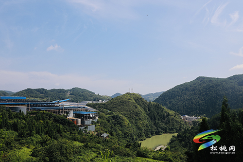 龍群躍調(diào)研錳污染治理工作