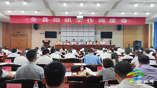 全縣組織工作調(diào)度會(huì)召開(kāi)