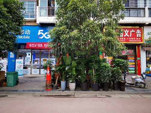 【文明創(chuàng)建】2021松桃不文明行為曝光
