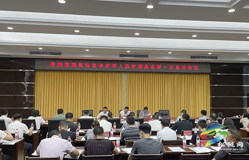 松桃苗族自治縣未成年人保護委員會第一次全體會議召開