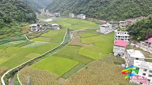 【鄉(xiāng)村振興記者行】永安鄉(xiāng)：以山為基引水精蘊(yùn)拓平道路探振興《二》