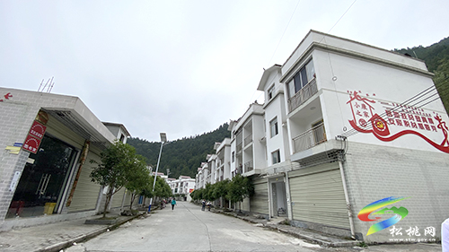 【鄉(xiāng)村振興記者行】永安鄉(xiāng)：以山為基引水精蘊(yùn)拓平道路探振興《二》