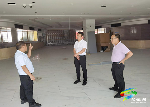 馬結華調研匯豐渣庫治理和政務服務中心標準化項目建設情況