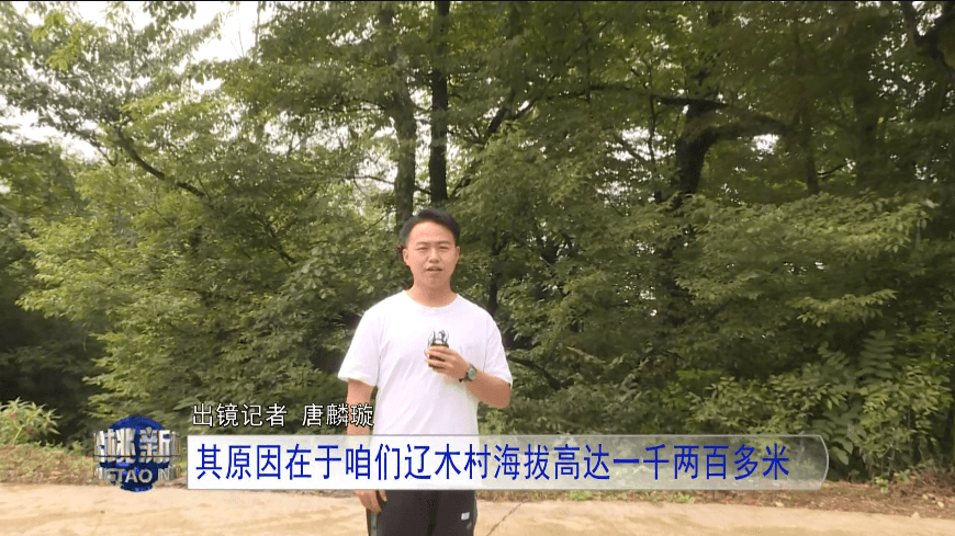 【鄉(xiāng)村振興記者行】永安鄉(xiāng)：以山為基引水精蘊(yùn)拓平道路探振興《三》