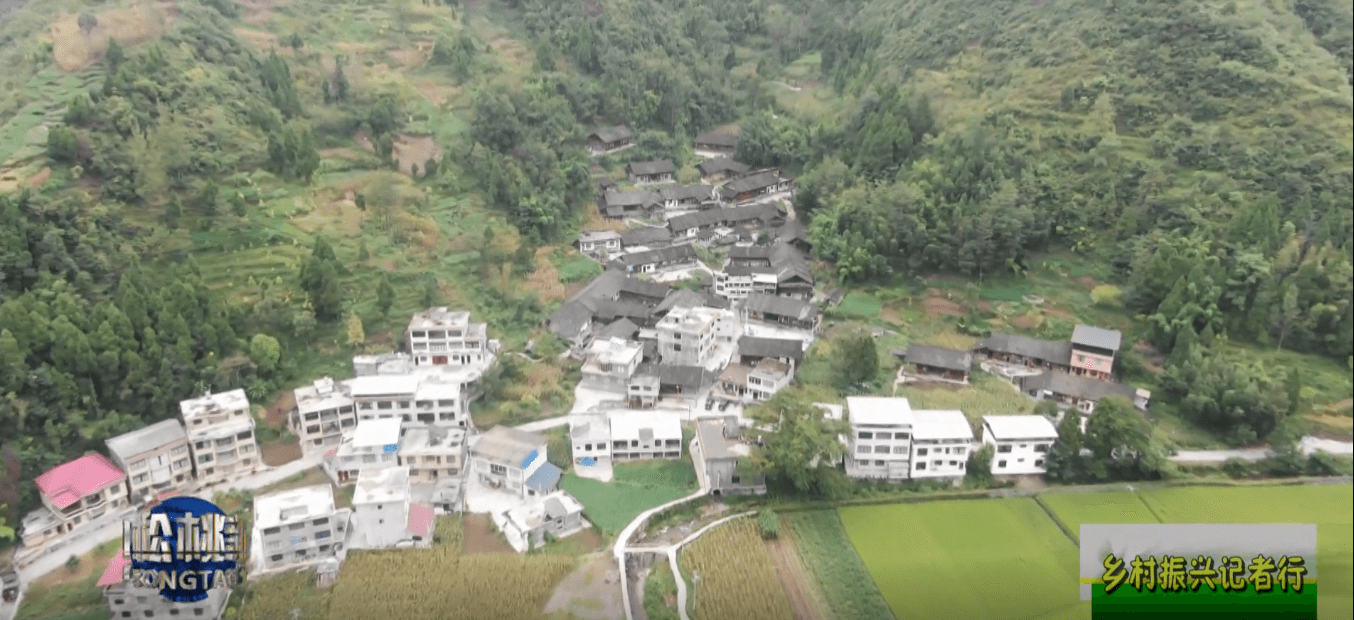 【鄉(xiāng)村振興記者行】永安鄉(xiāng)：以山為基引水精蘊(yùn)拓平道路探振興《三》