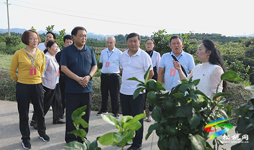 縣人大常委會視察全縣“國家全域旅游示范縣”創(chuàng)建工作推進情況