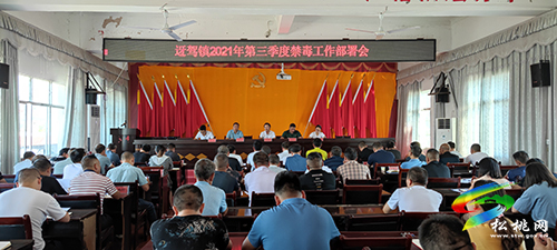 迓駕鎮(zhèn)2021年第三季度禁毒工作部署會(huì)