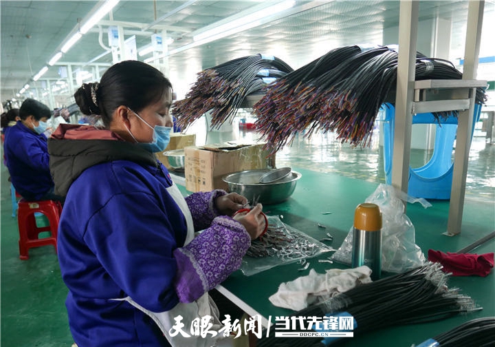 山情海意比翼飛 深化“廣東+貴州”模式推進東西部協(xié)作