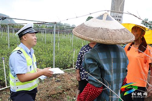 松桃交警走進田間地頭開展秋季道路交通安全宣傳活動