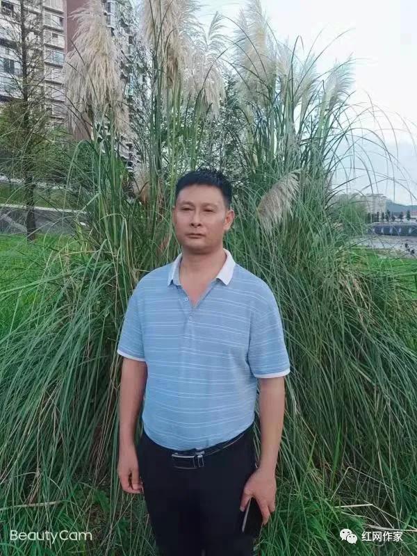 印象“哈林”（小說）