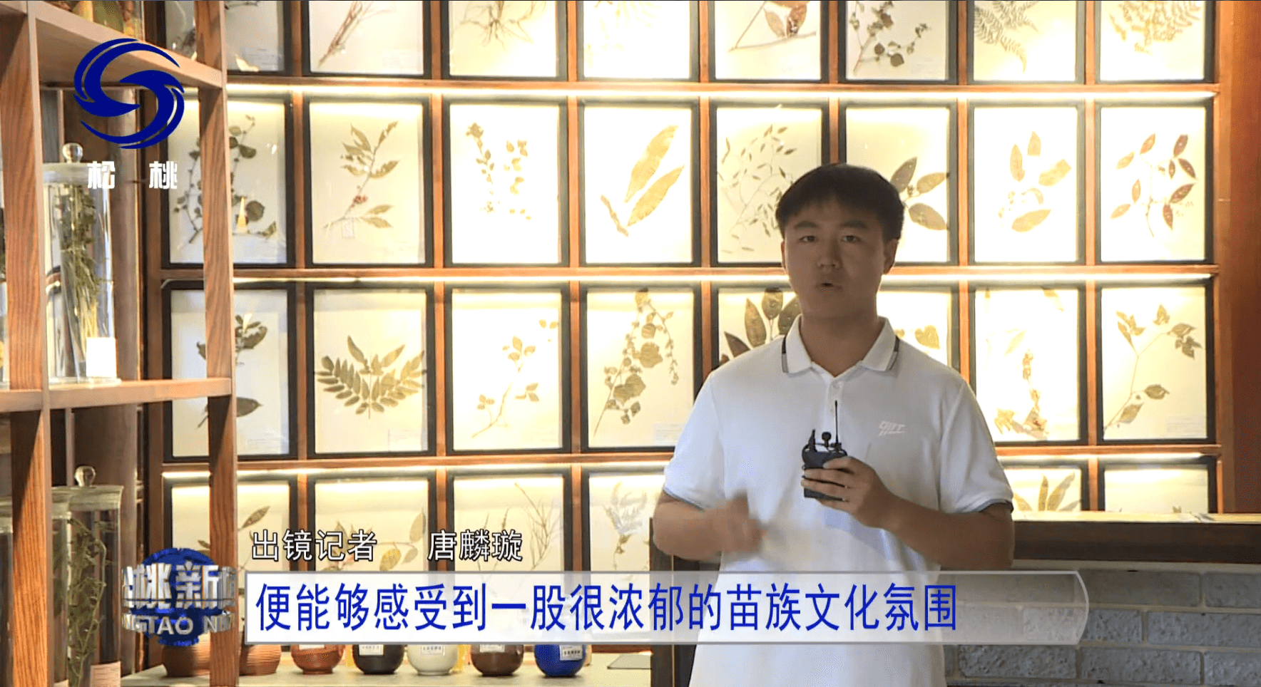 【鄉(xiāng)村振興記者行】苗疆藏靈草　惠澤千萬家