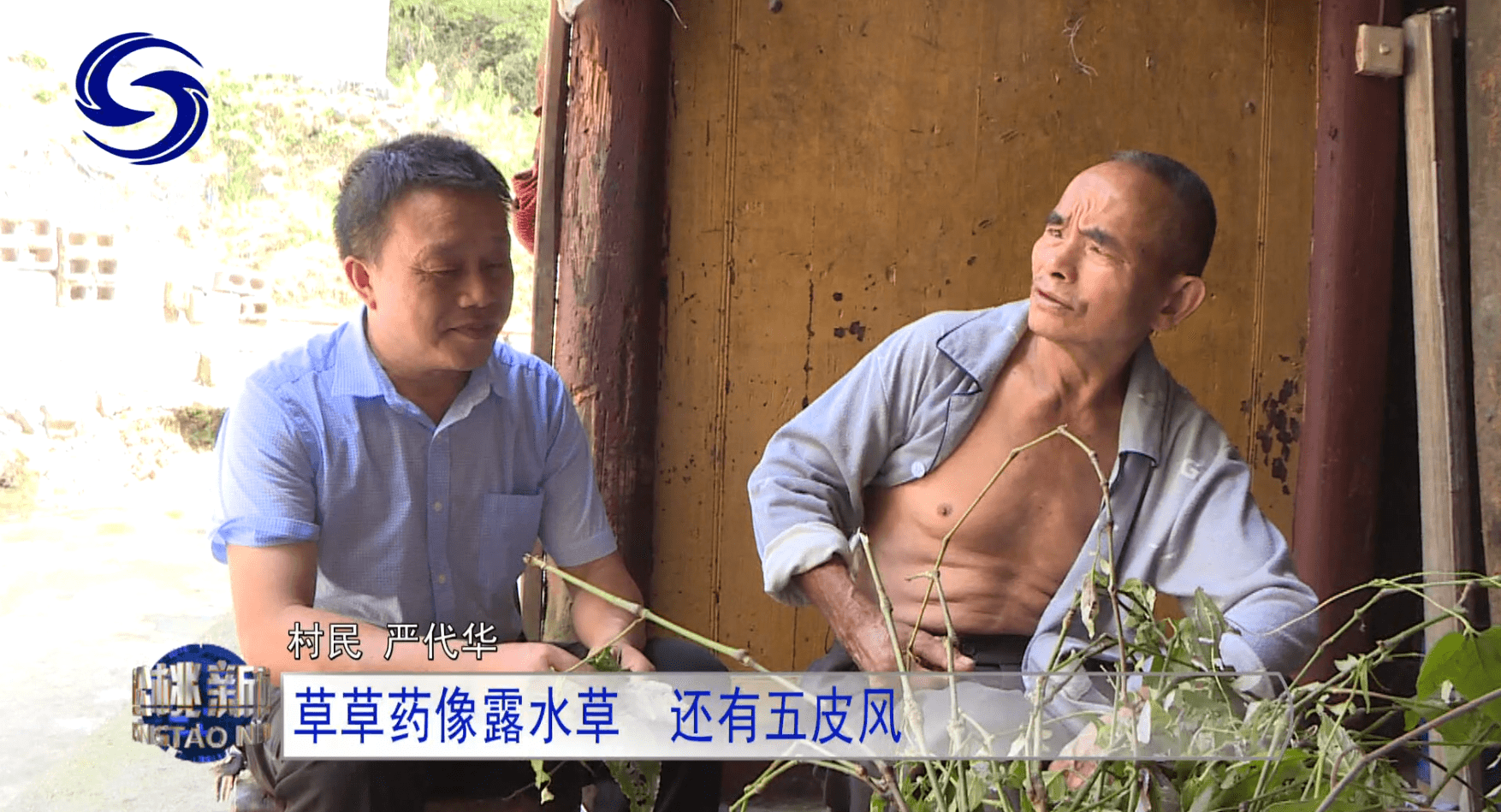 【鄉(xiāng)村振興記者行】苗疆藏靈草　惠澤千萬家