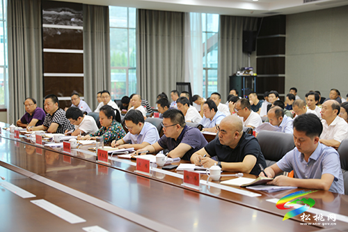 松桃苗族自治縣錳產(chǎn)業(yè)高質(zhì)量發(fā)展及錳污染治理工作攻堅推進會召開