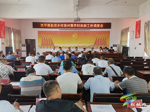 太平營街道召開鄉(xiāng)村振興暨農(nóng)村改廁工作調(diào)度會