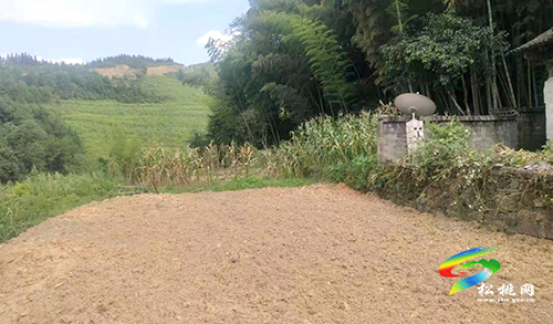 平頭鎮(zhèn)：大力推進(jìn)土地增減掛鉤，勾勒美麗鄉(xiāng)村振興圖