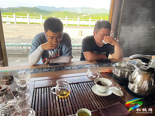 ​正大鎮(zhèn):茶業(yè)品牌助推茶旅融合