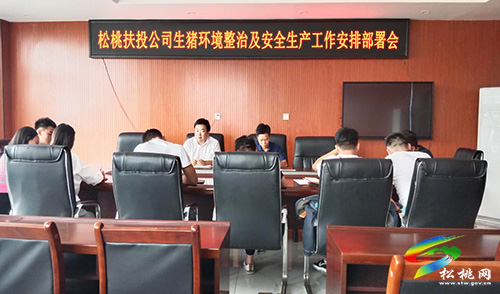 ​松桃扶投公司全面開展排查整治生豬養(yǎng)殖場環(huán)境污染及安全生產(chǎn)工作