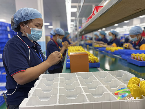 招商引資促發(fā)展上千崗位惠民生